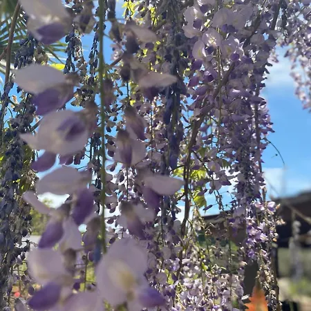 Trullo La Glycine