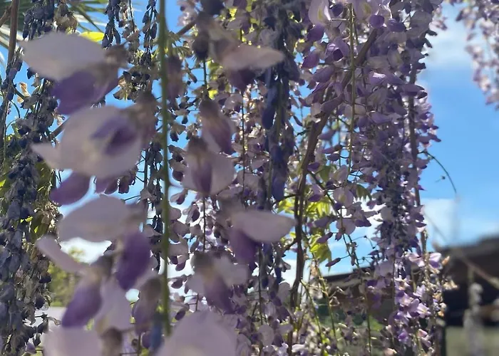 Trullo La Glycine